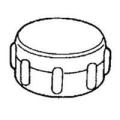 PP850-68 3/4" HOSE CAP W/WASHE