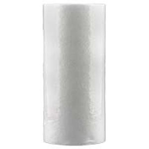 14-GSP1-05 5 MICRON 10" GIANT SP