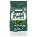 100081786 3# KY 31 FESCUE