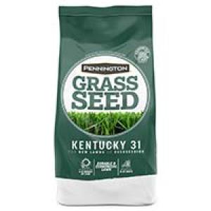 100081786 3# KY 31 FESCUE