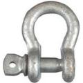 223677 3250BC 5/16 SHACKLE