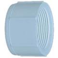 30167 PVC FIP CAP 3/4